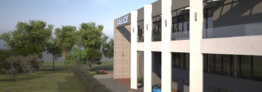 SALICE SPAGNA 12